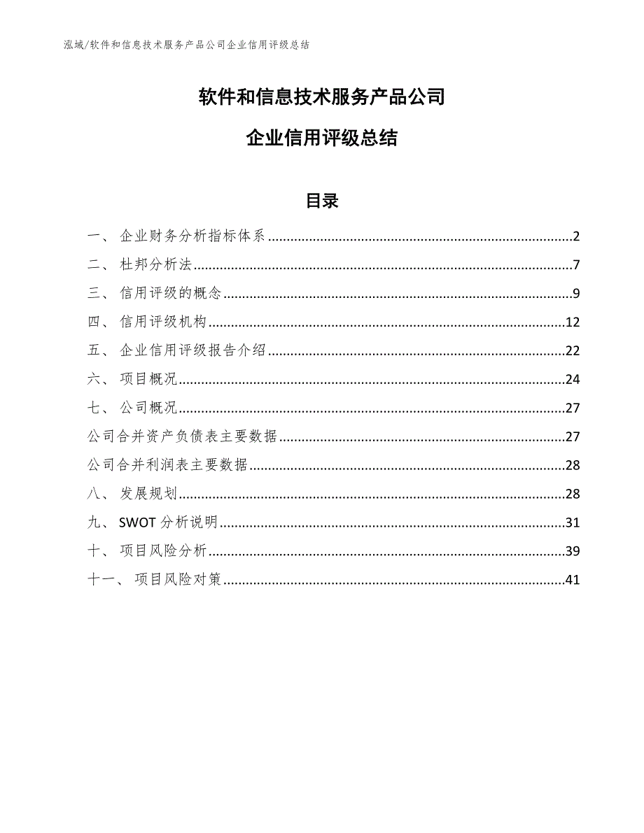 软件和信息技术服务产品公司企业信用评级总结_第1页