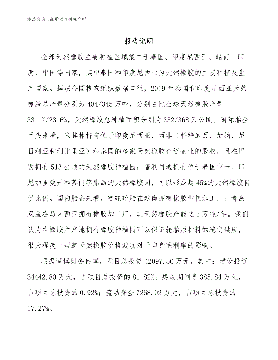 轮胎项目研究分析_模板_第1页