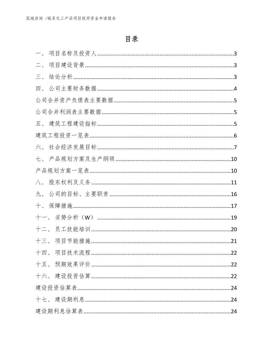 硫系化工产品项目政府资金申请报告_第1页