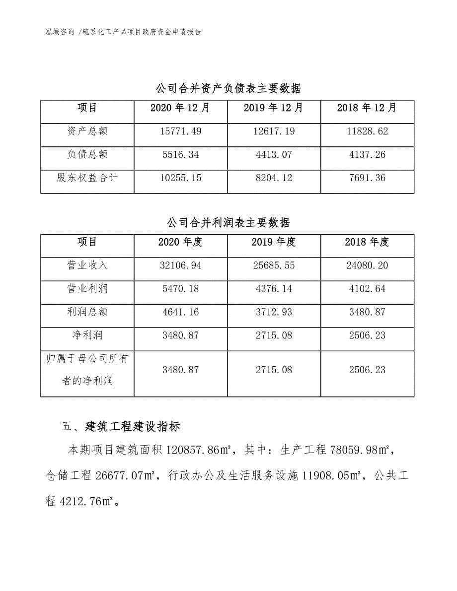 硫系化工产品项目政府资金申请报告_第5页