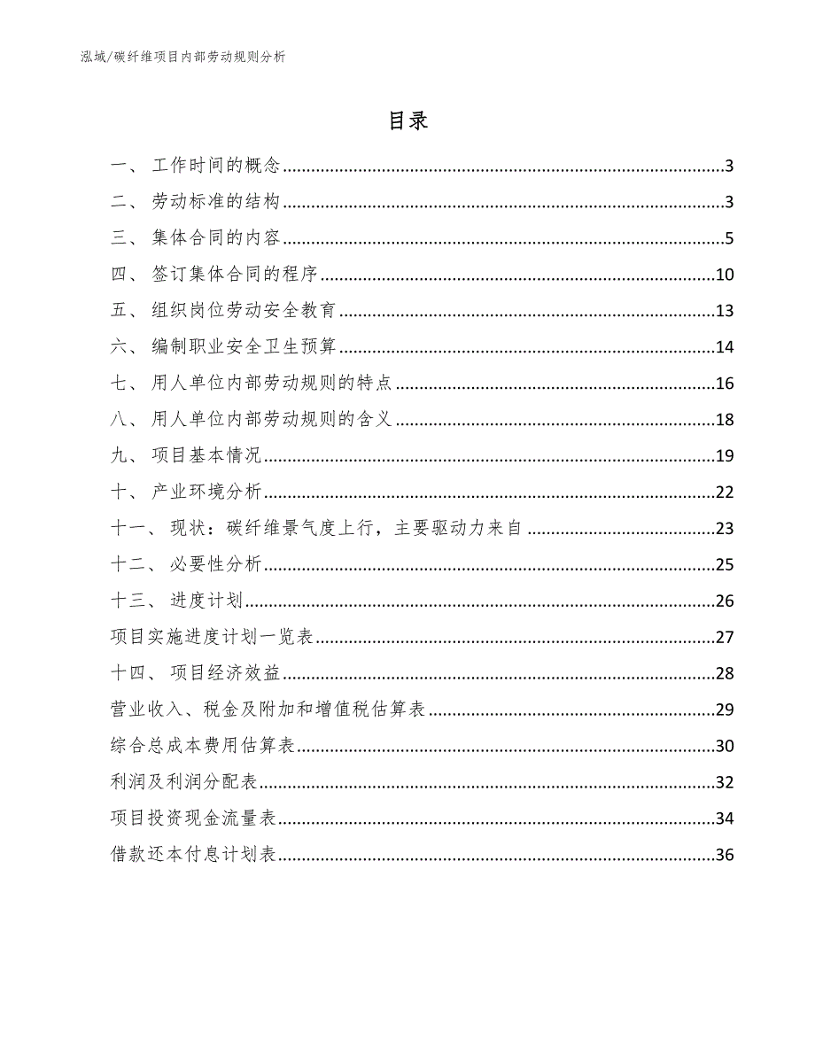 碳纤维项目内部劳动规则分析_范文_第2页