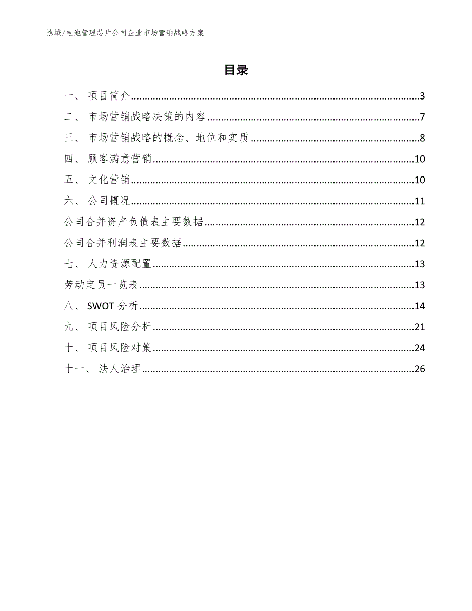 电池管理芯片公司企业市场营销战略（参考）_第2页