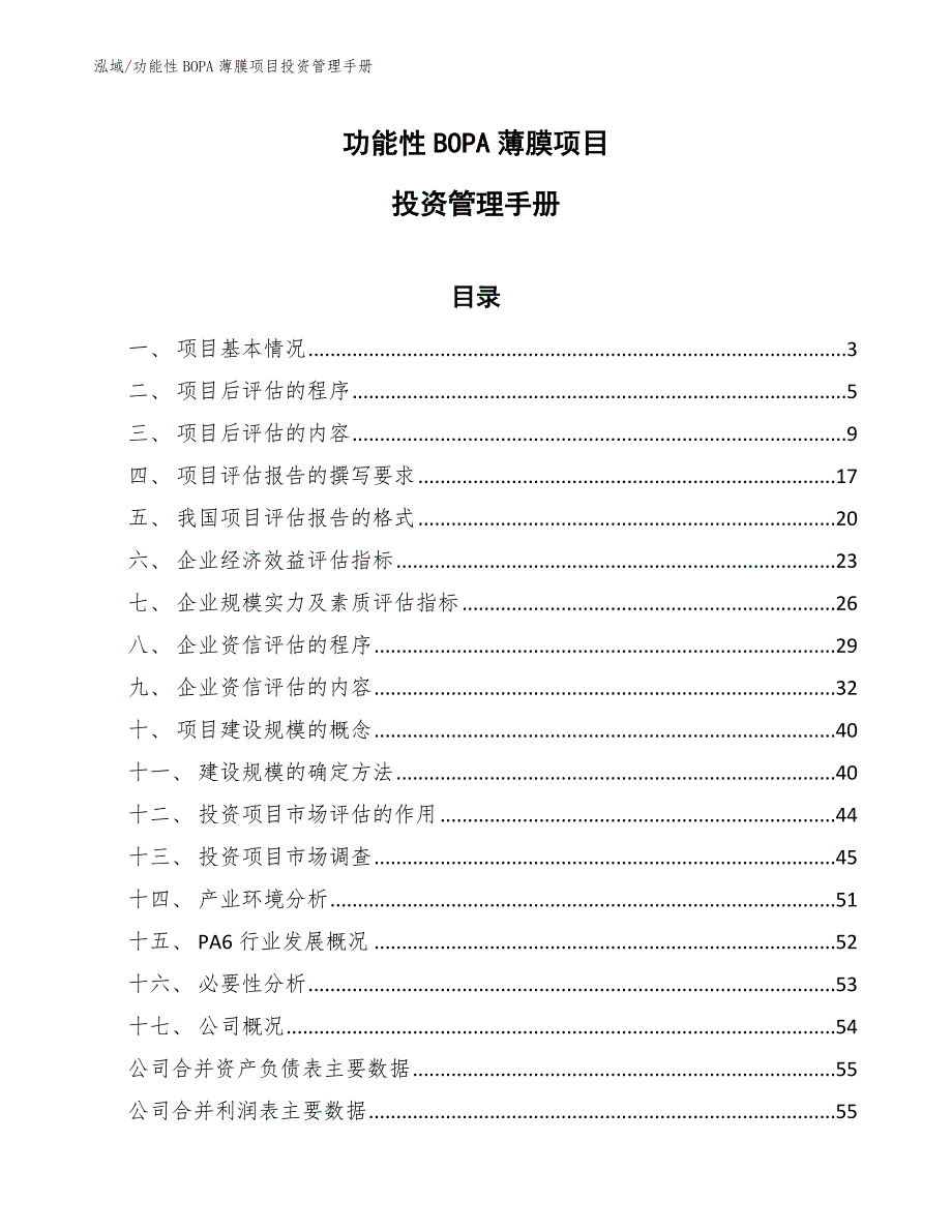 功能性BOPA薄膜项目投资管理总结【范文】_第1页