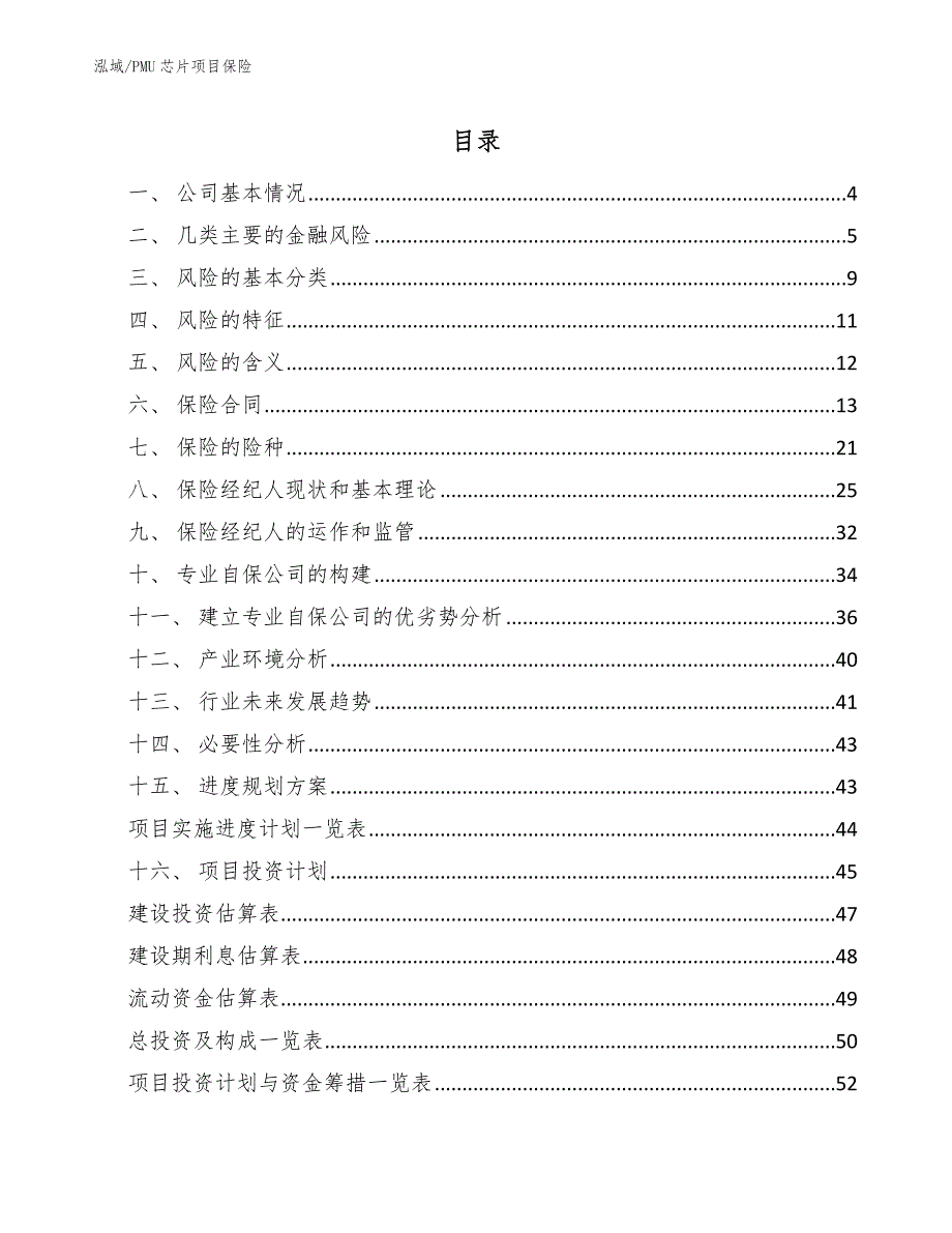 PMU芯片项目巨灾风险方案_第2页