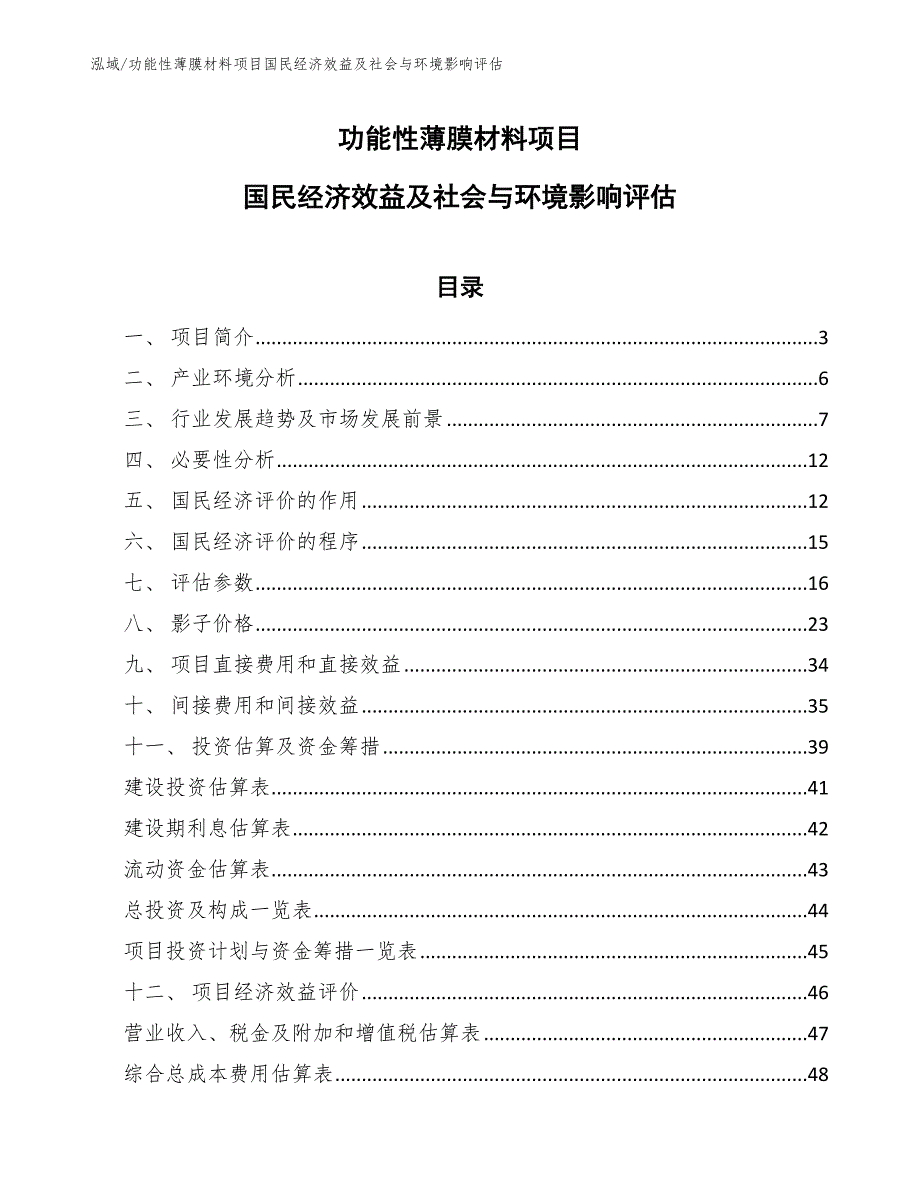 功能性薄膜材料项目建设规模评估分析（参考）_第1页