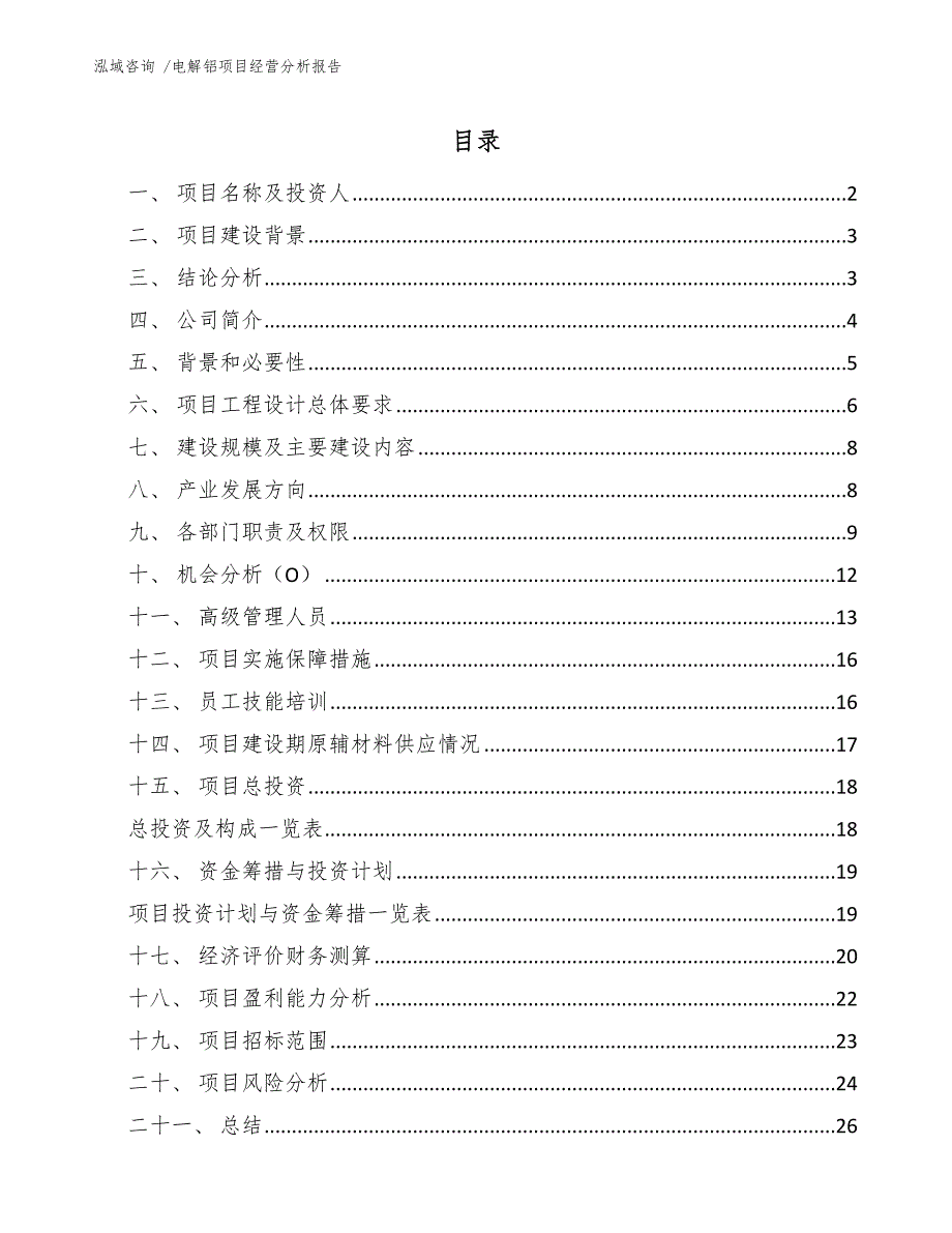 电解铝项目经营分析报告（参考范文）_第1页