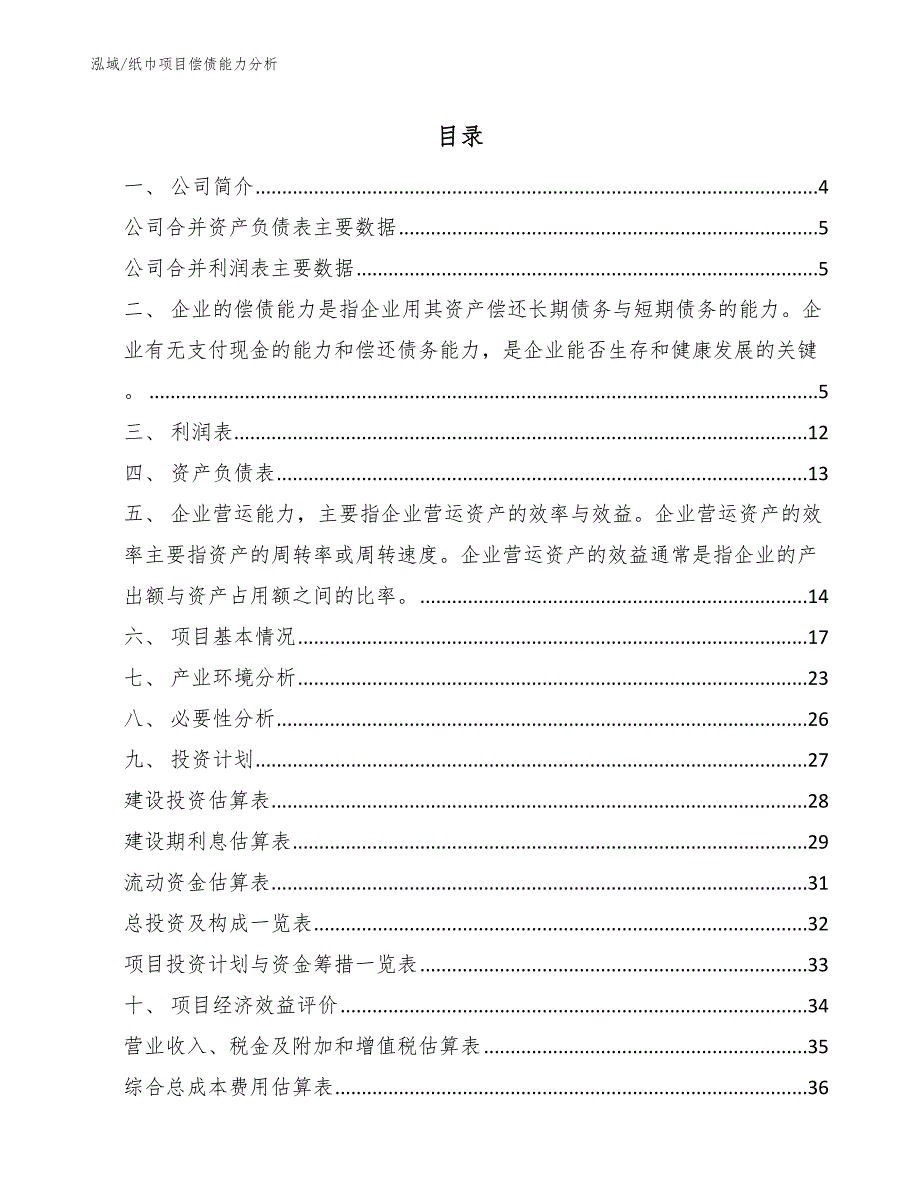 纸巾项目偿债能力分析（参考）_第2页