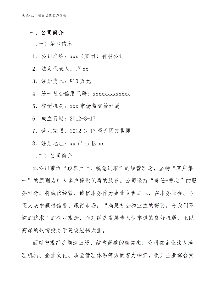 纸巾项目偿债能力分析（参考）_第4页