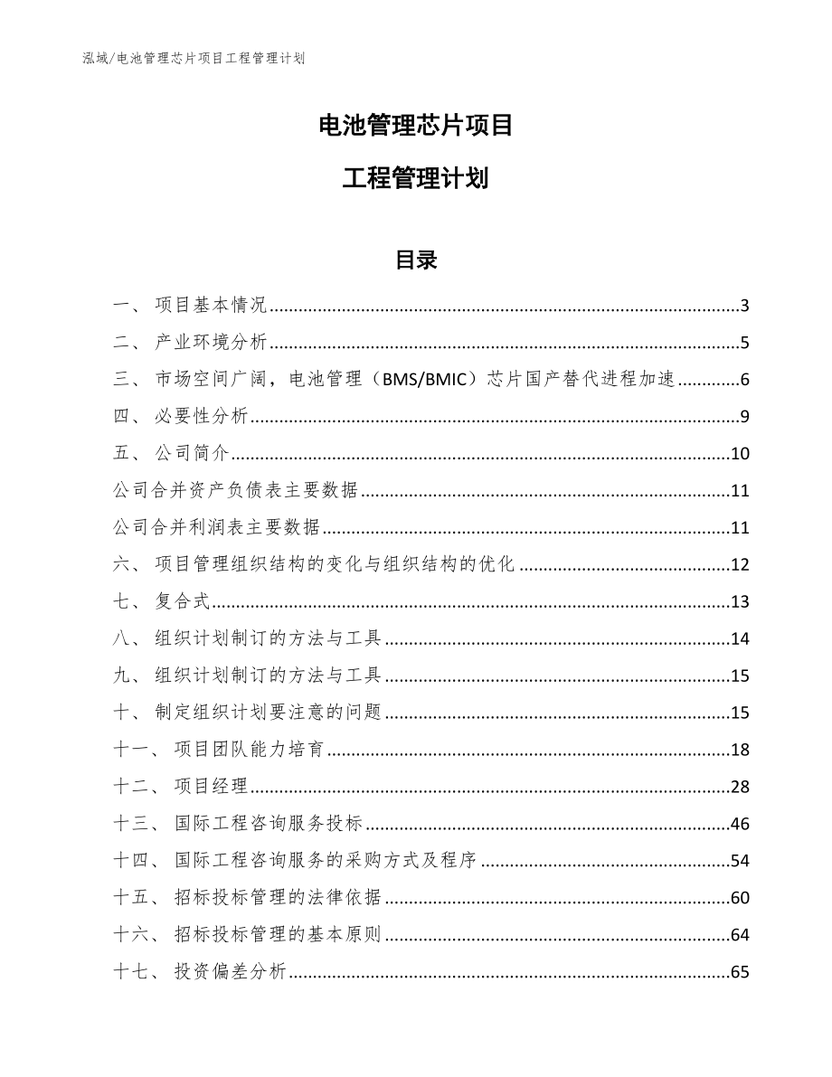 电池管理芯片项目工程管理计划（参考）_第1页