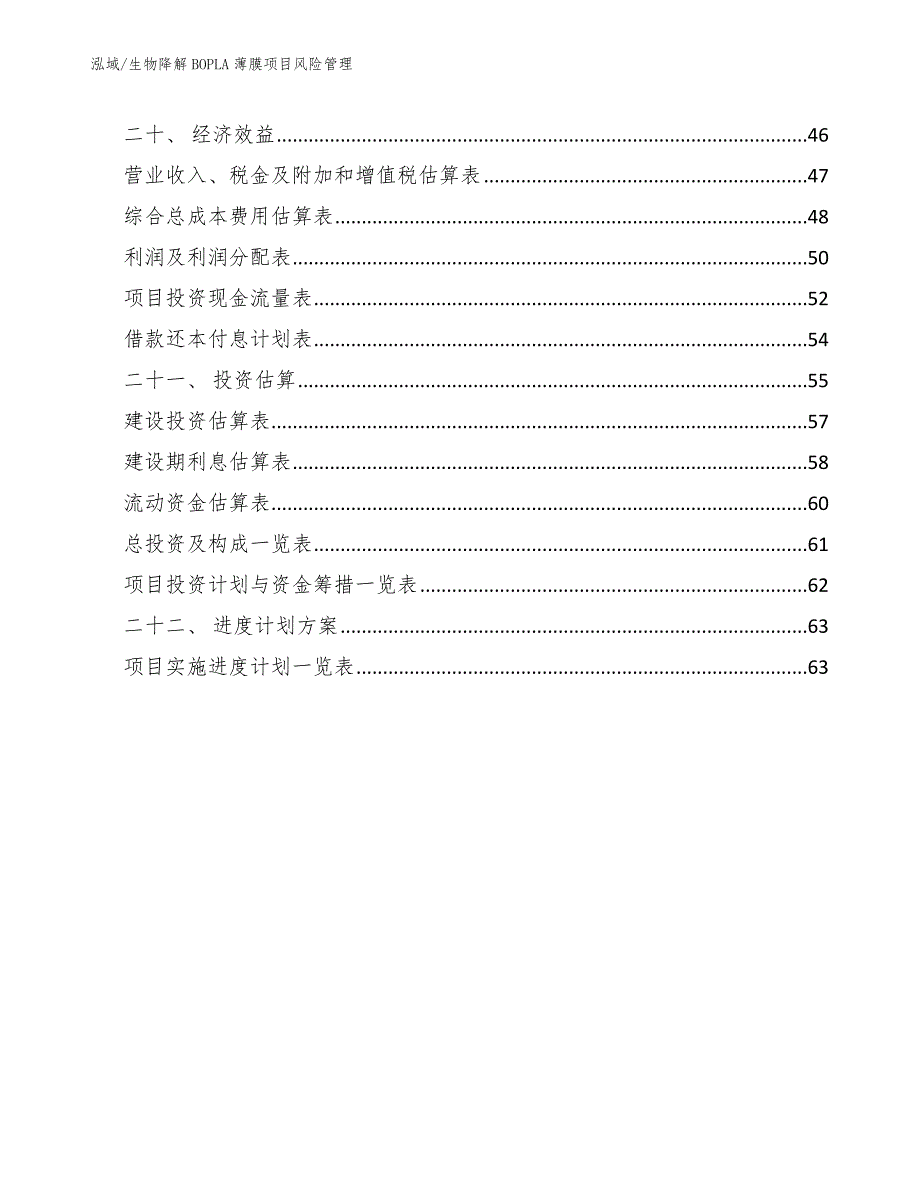 生物降解BOPLA薄膜项目风险管理_第2页