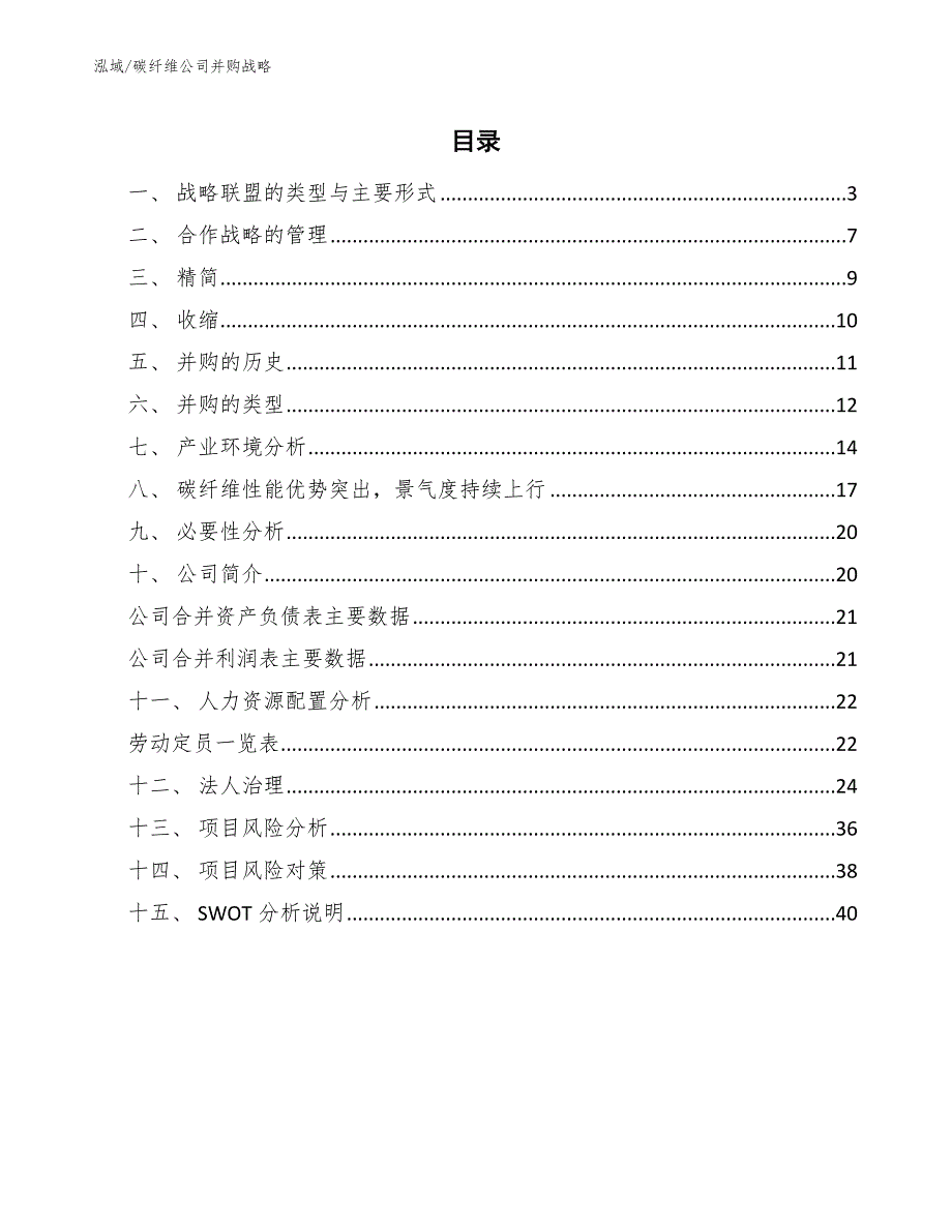 碳纤维公司并购战略_范文_第2页