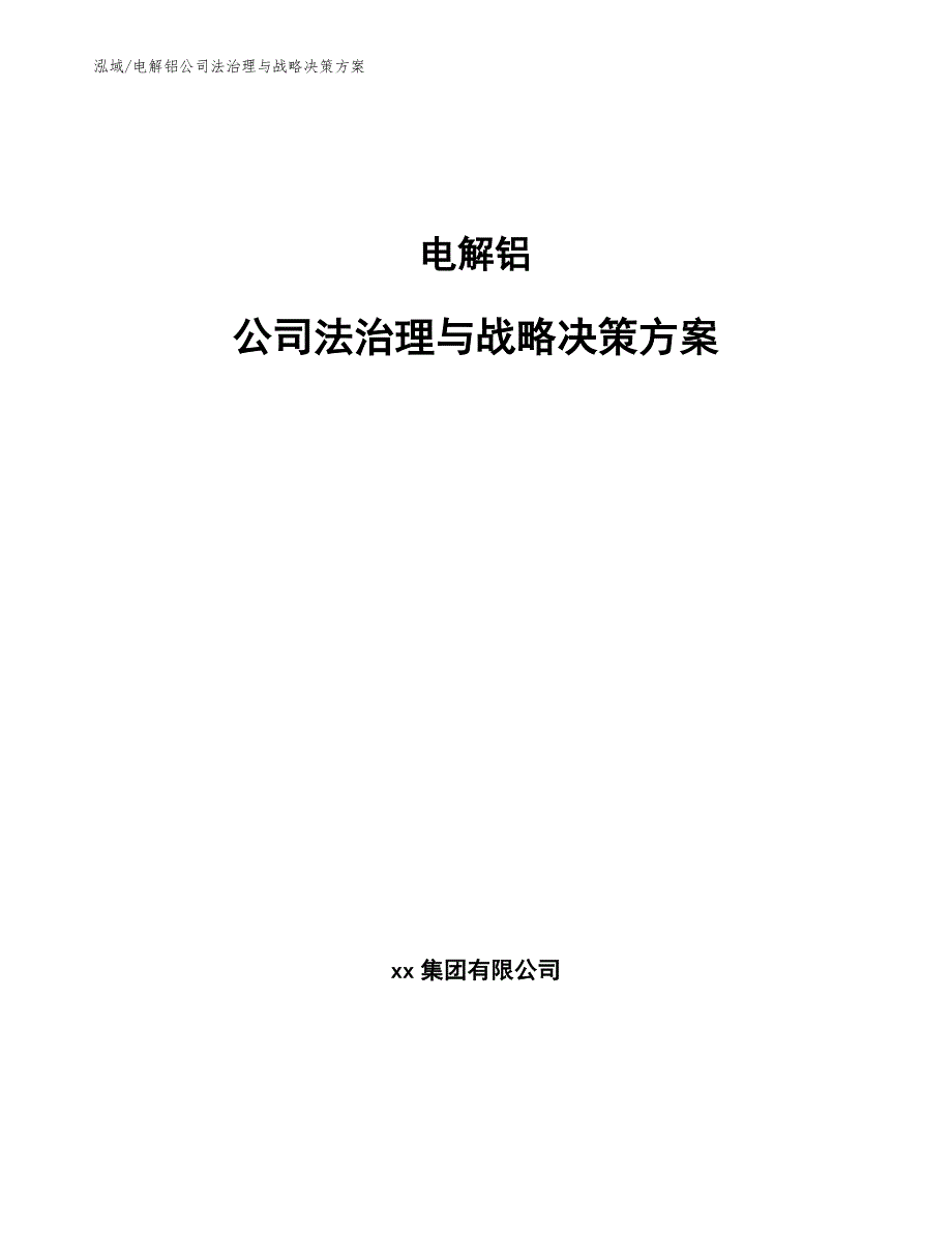 电解铝公司法治理与战略决策方案（参考）_第1页