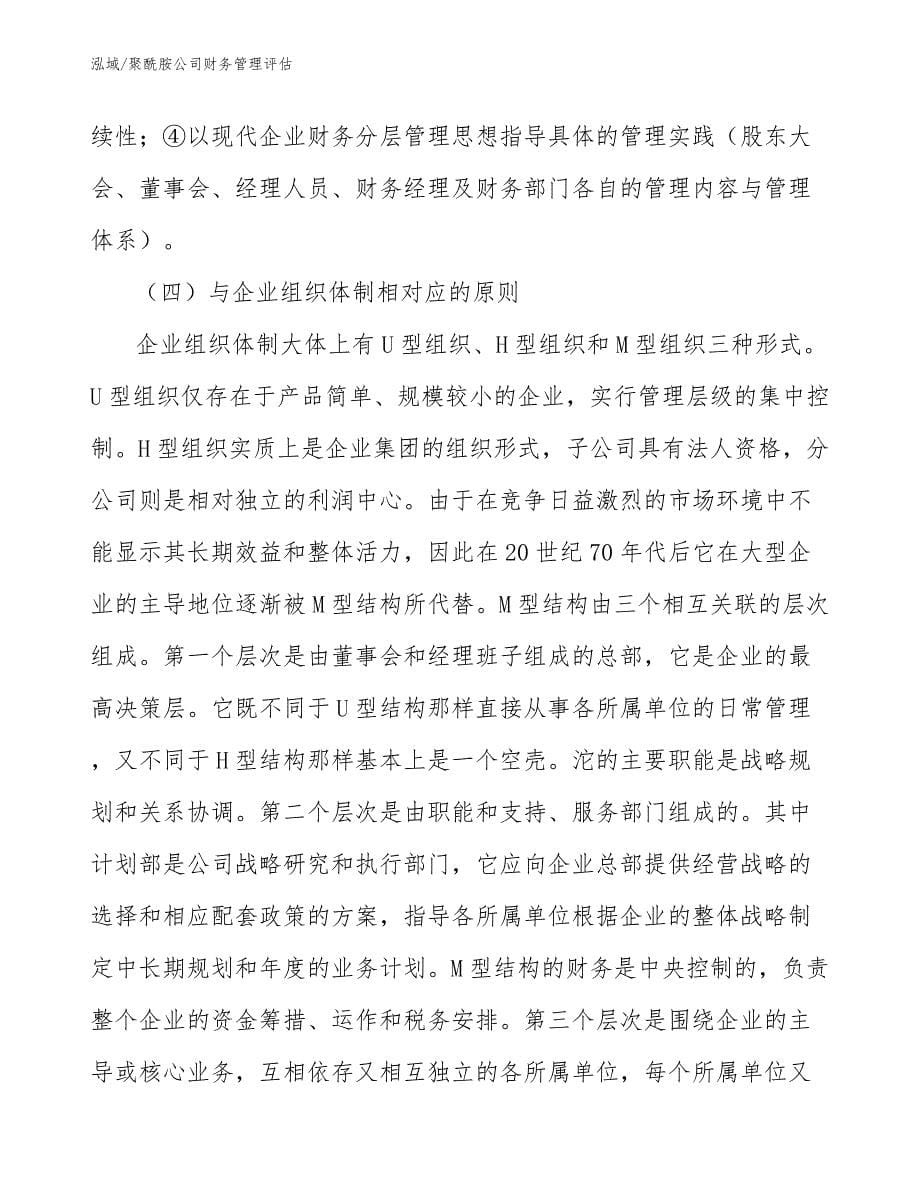 聚酰胺公司财务管理评估_第5页