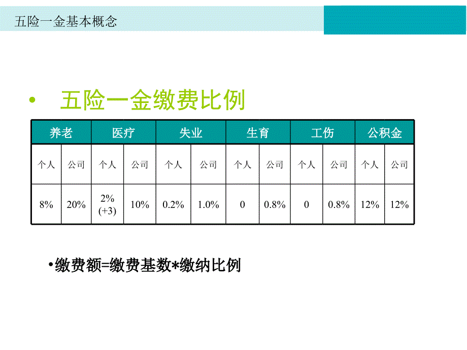 五险一金基本常识介绍课件_第4页