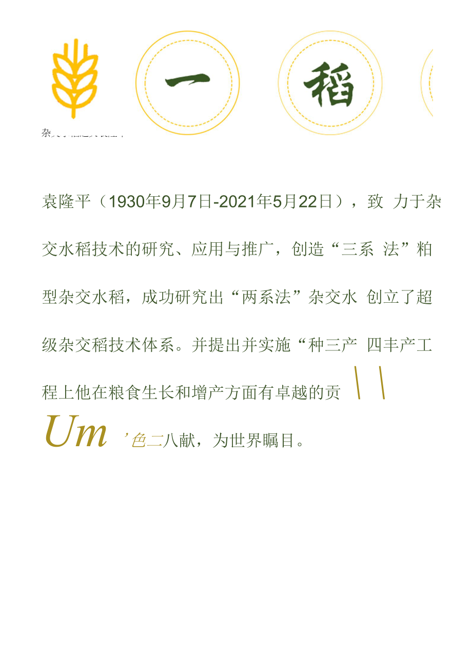 一稻济天下纪念杂交水稻之父袁隆平手抄报珍惜粮良电子小报_第1页