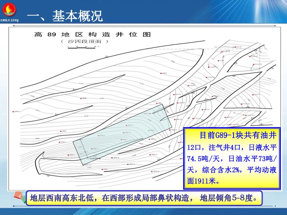 G89-1块注CO2驱效果分析(油水井分析用)课件_第3页