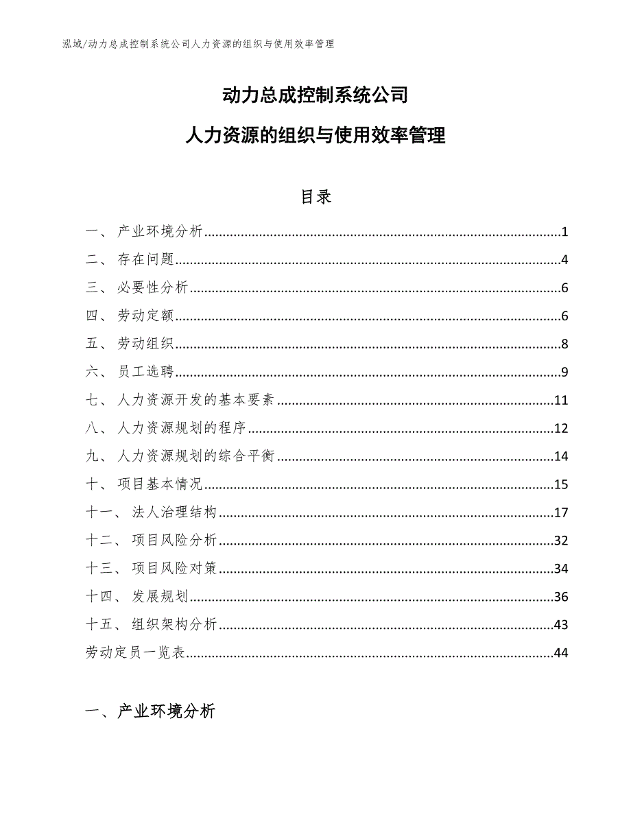 动力总成控制系统公司人力资源的组织与使用效率管理_参考_第1页