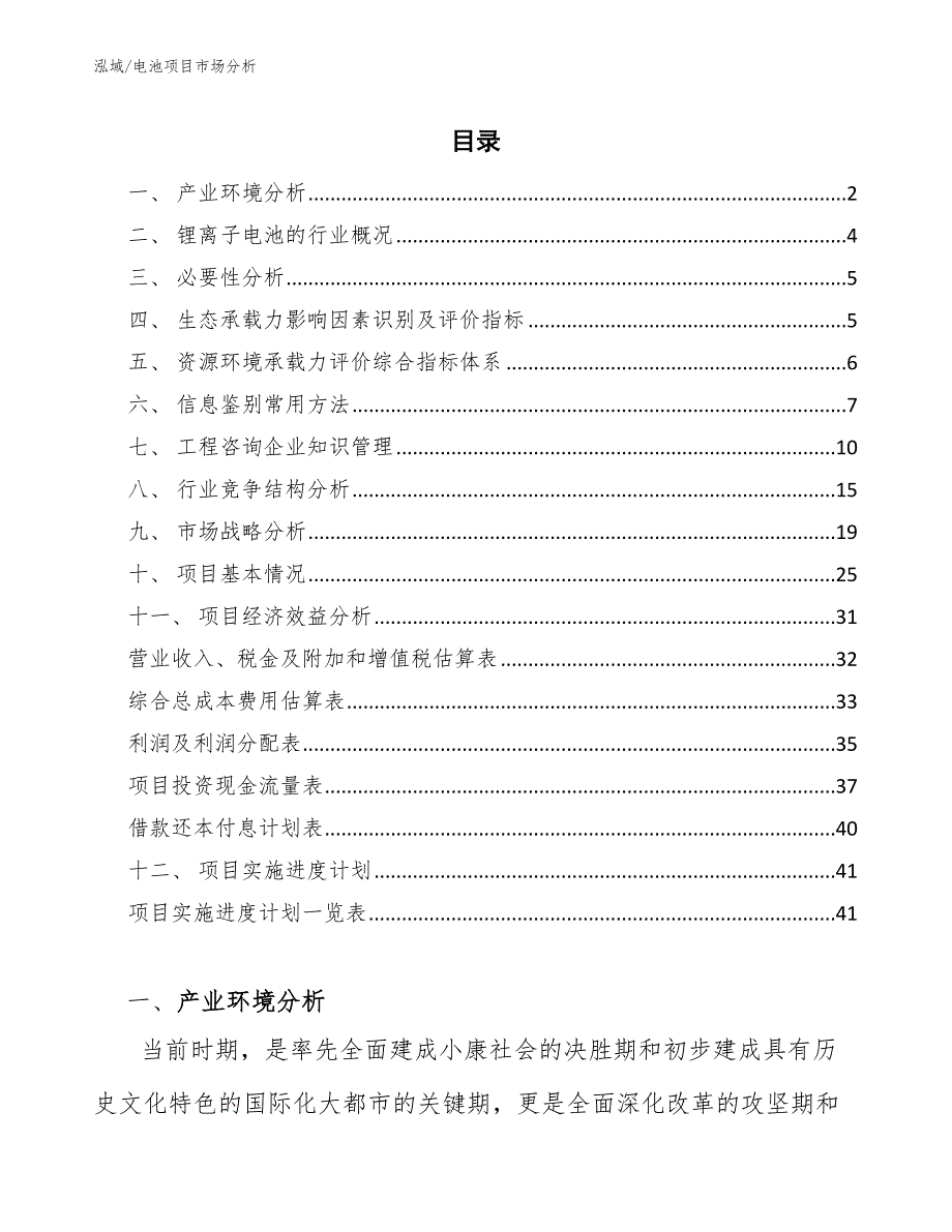 电池项目市场分析_第2页