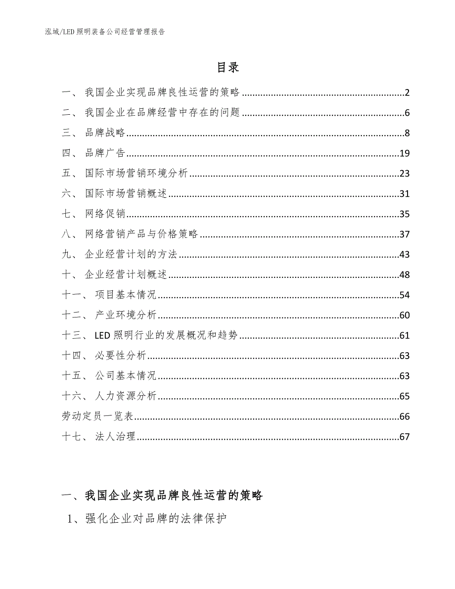 LED照明装备公司经营管理报告（参考）_第2页