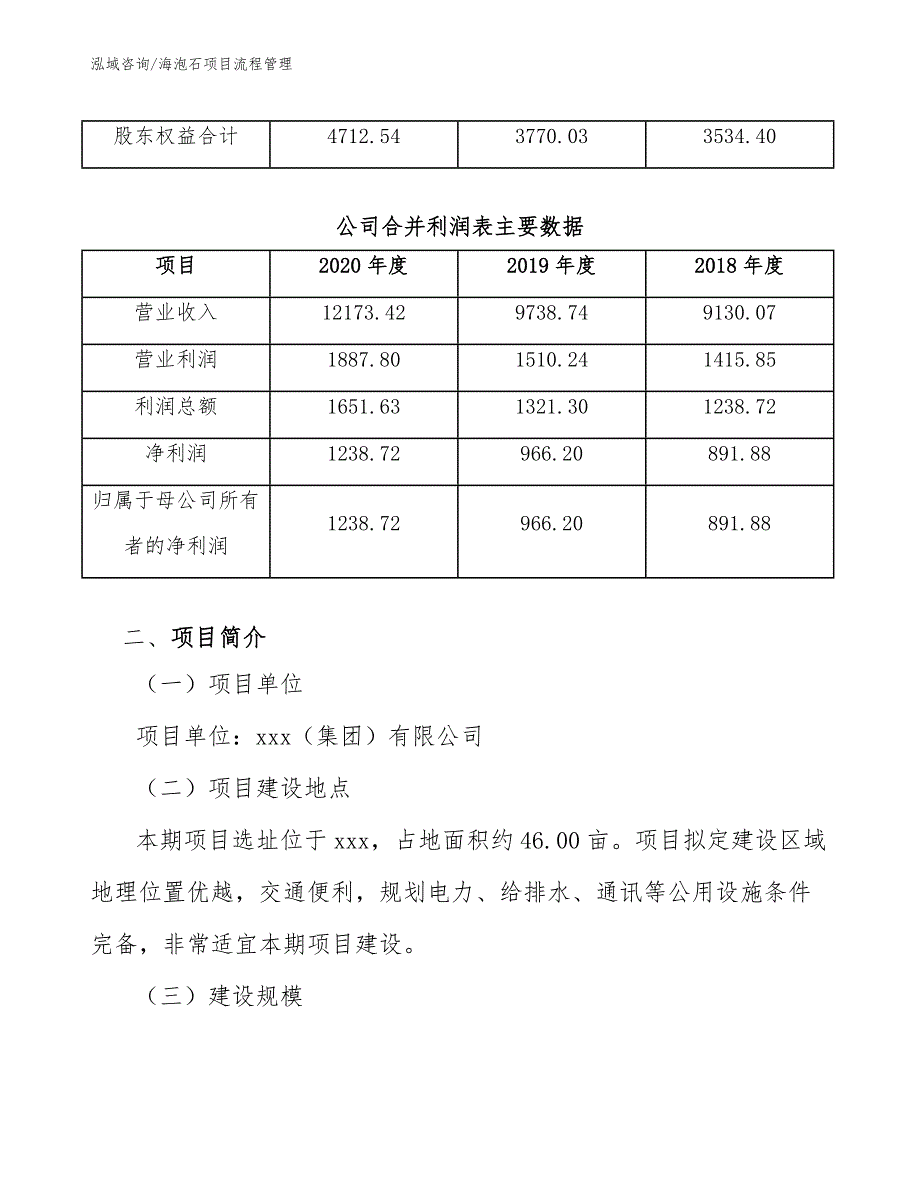 海泡石项目流程管理_参考_第4页