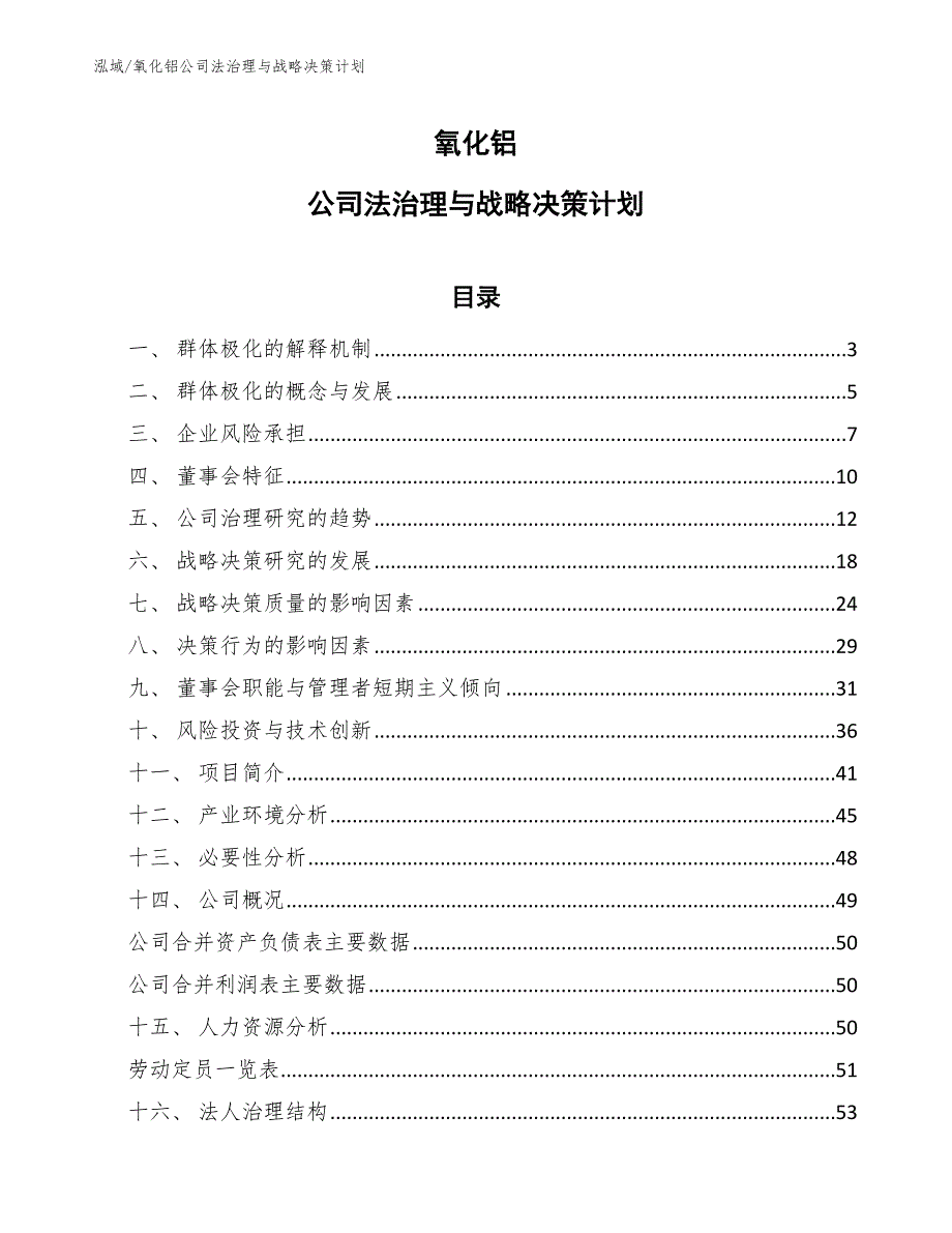 氧化铝公司法治理与战略决策计划_第1页