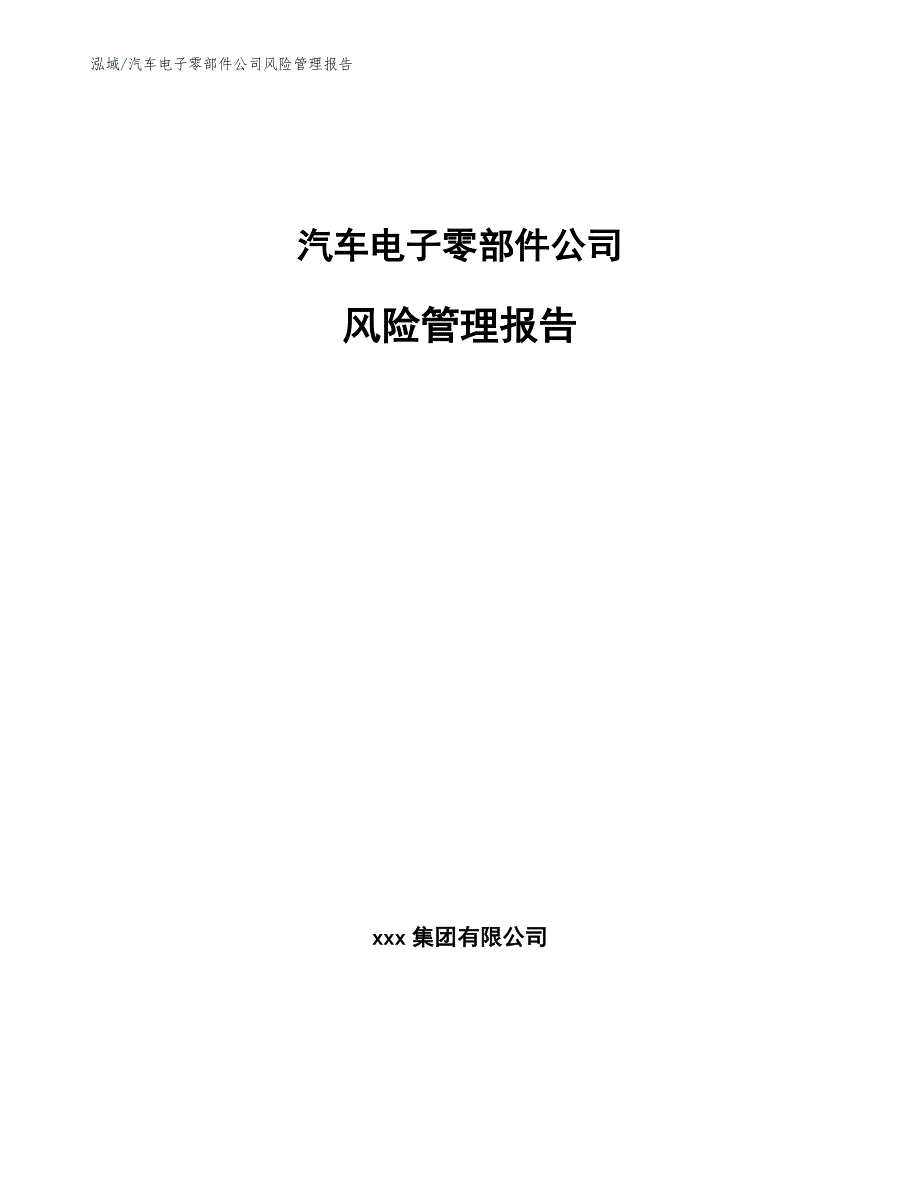 汽车电子零部件公司风险管理报告【范文】_第1页