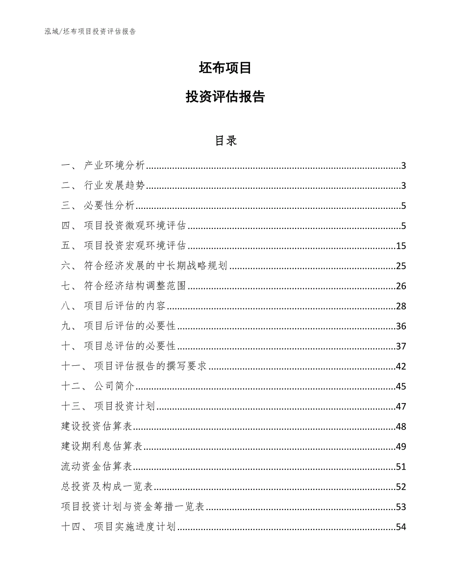 坯布项目投资评估报告（参考）_第1页