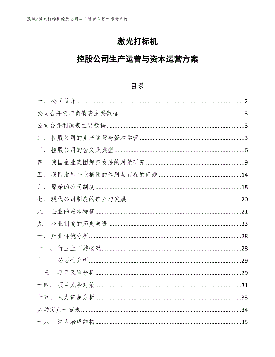 激光打标机控股公司生产运营与资本运营方案_第1页