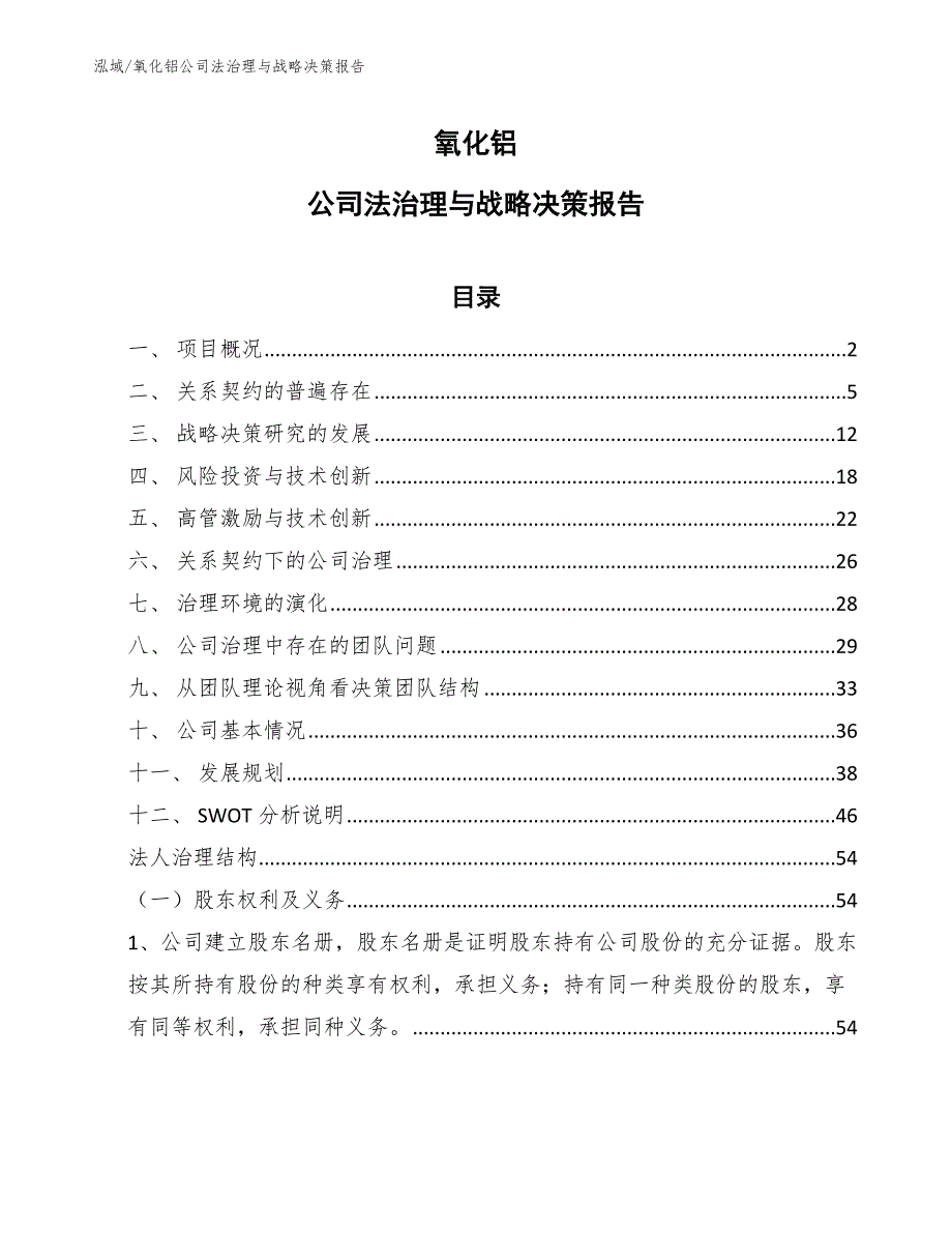 氧化铝公司法治理与战略决策报告_第1页