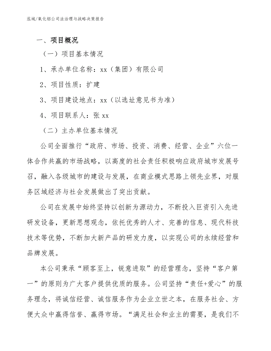 氧化铝公司法治理与战略决策报告_第2页