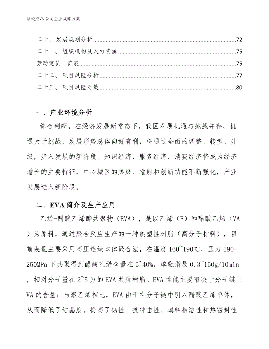 EVA公司企业战略方案_第2页