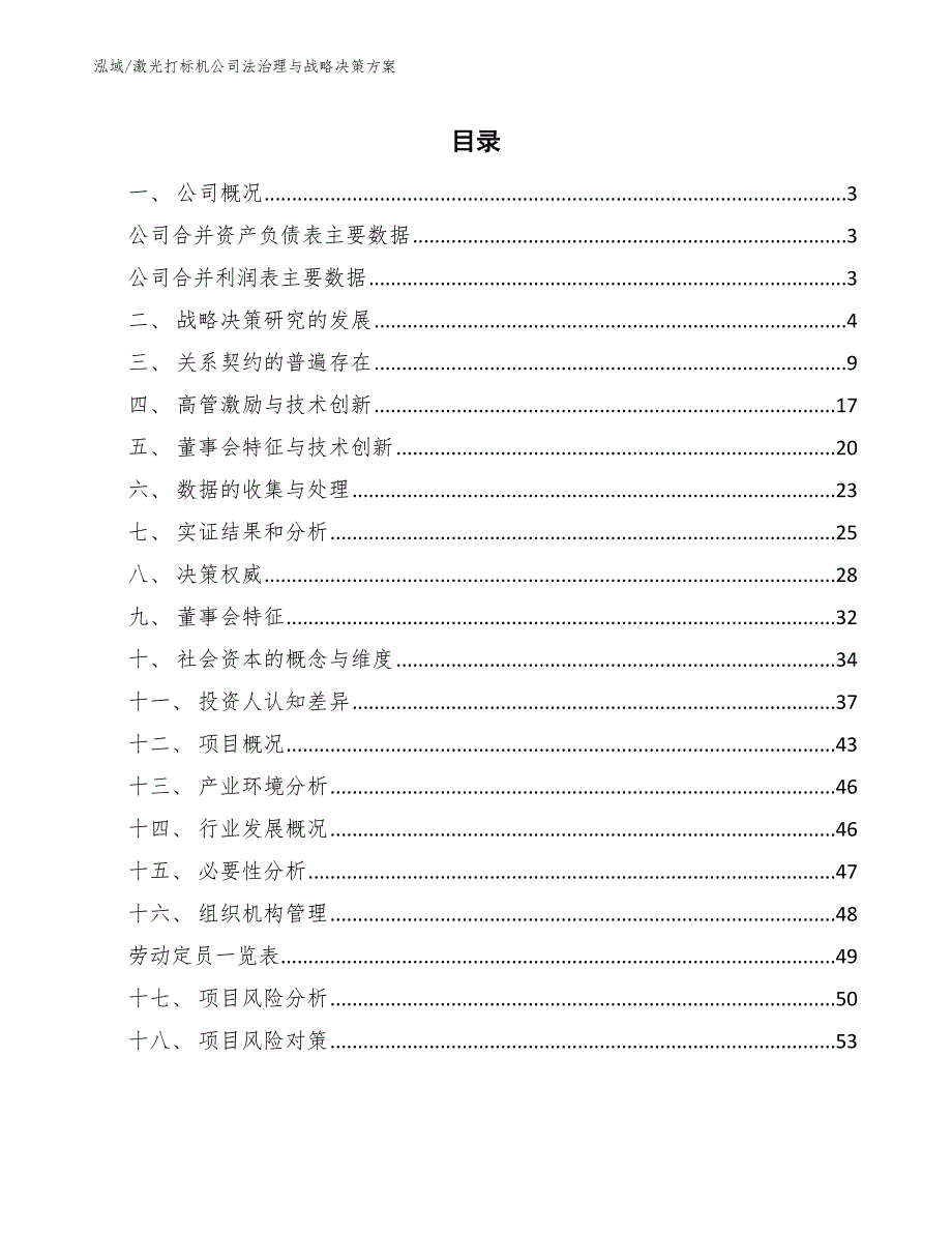 激光打标机公司法治理与战略决策方案【范文】_第2页