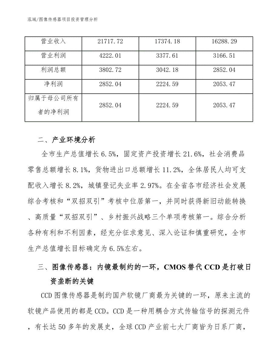 图像传感器项目投资管理分析（范文）_第4页