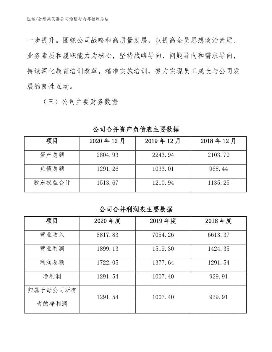 射频类仪器公司治理与内部控制总结_范文_第5页