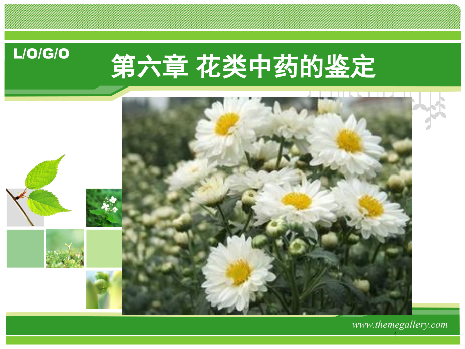 花类中药鉴定课件_第1页