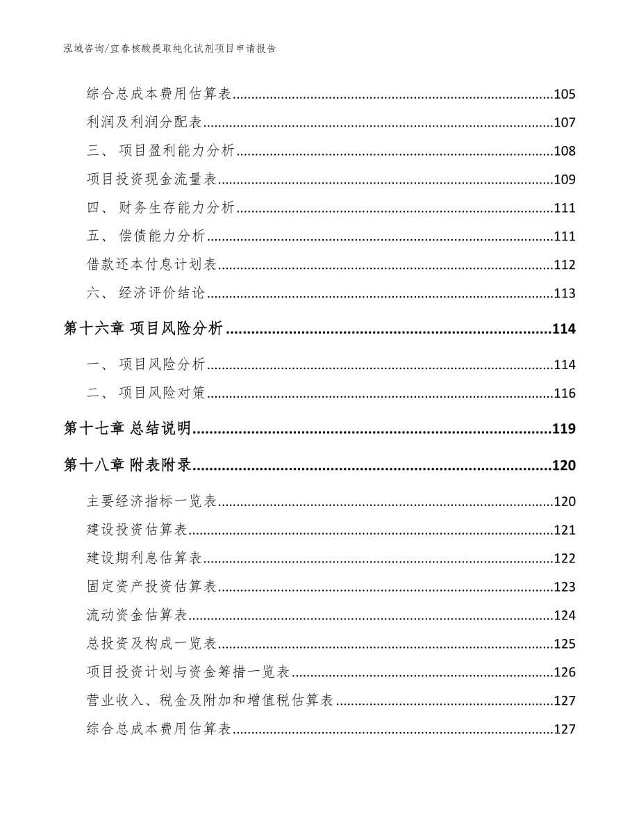 宜春核酸提取纯化试剂项目申请报告（参考范文）_第5页