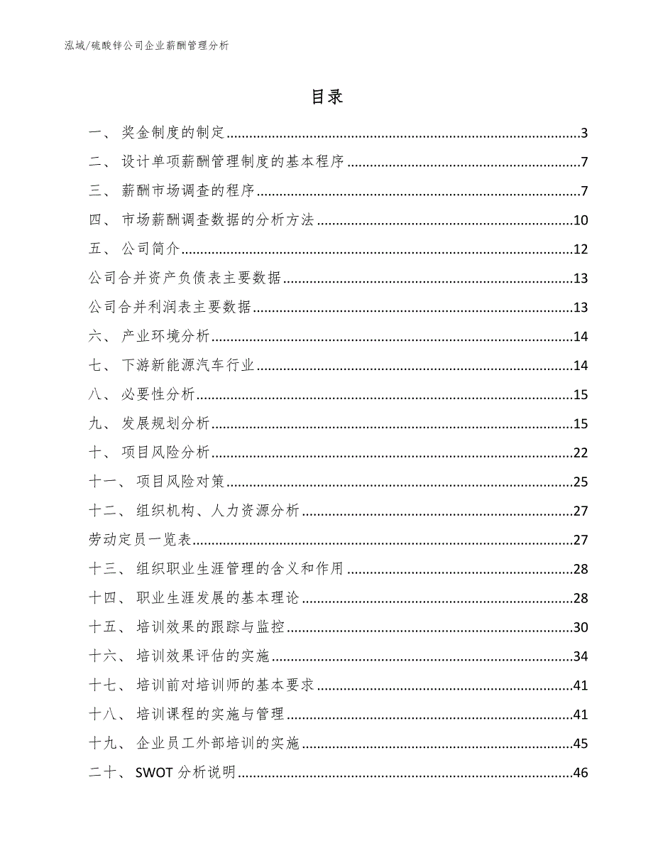 硫酸锌公司企业薪酬管理分析_第2页