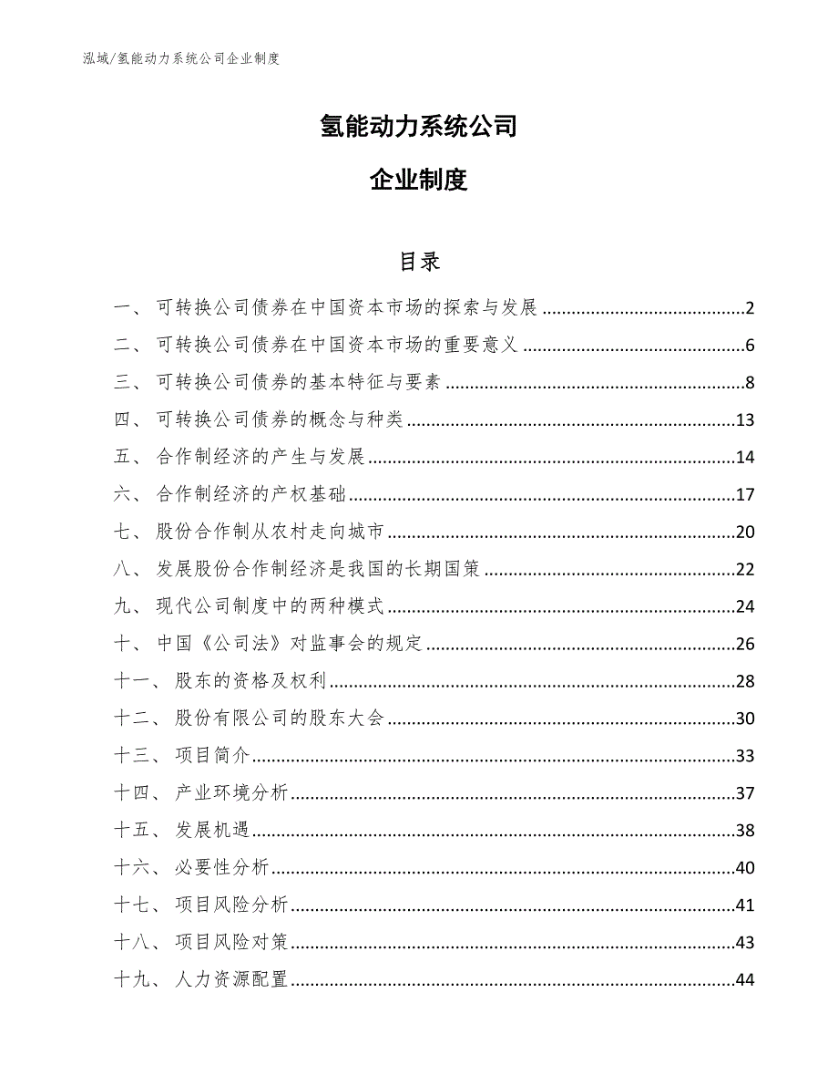 氢能动力系统公司企业制度_第1页