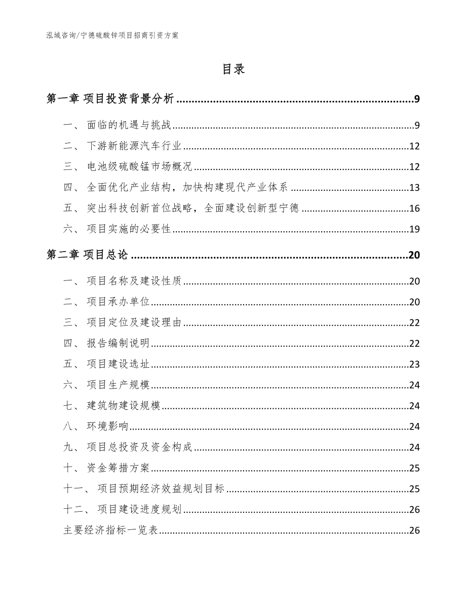 宁德硫酸锌项目招商引资方案_第2页