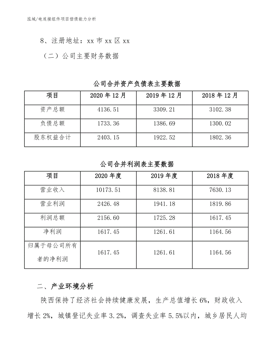 电连接组件项目偿债能力分析_参考_第3页