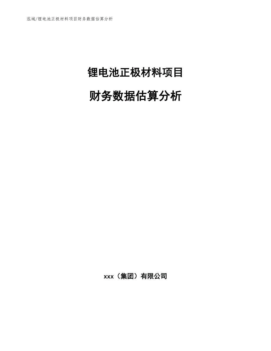 锂电池正极材料项目财务数据估算分析（参考）_第1页