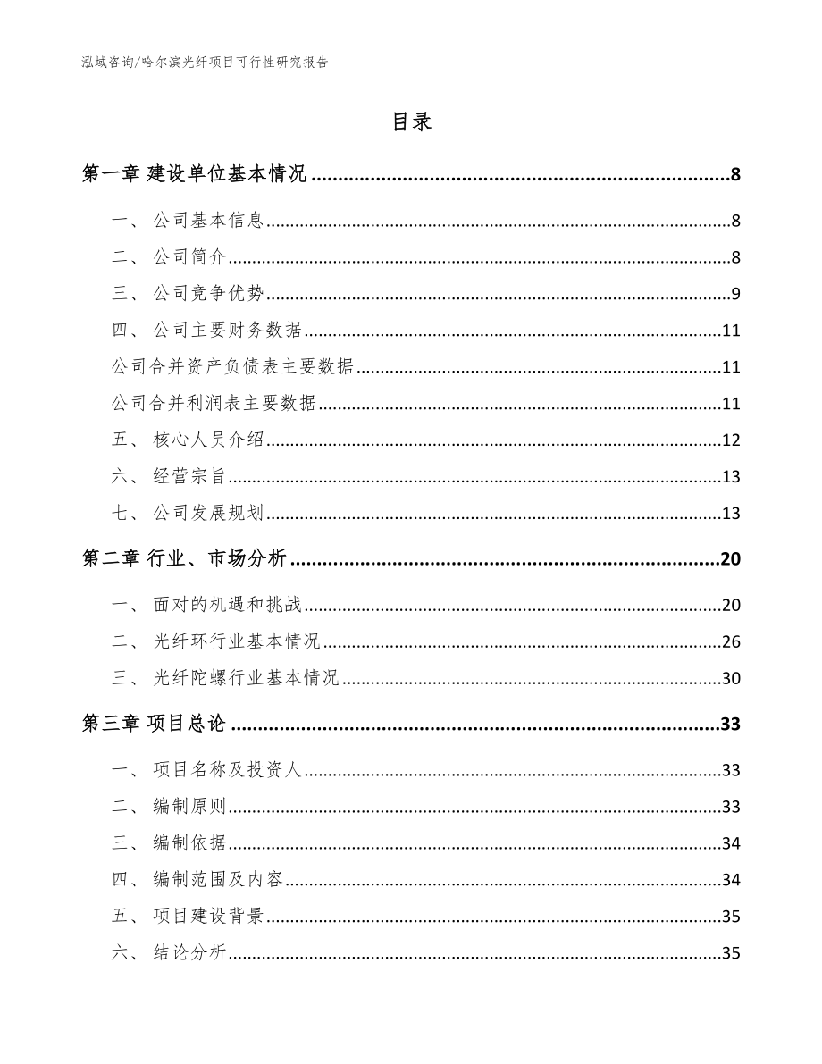 哈尔滨光纤项目可行性研究报告【模板范本】_第2页