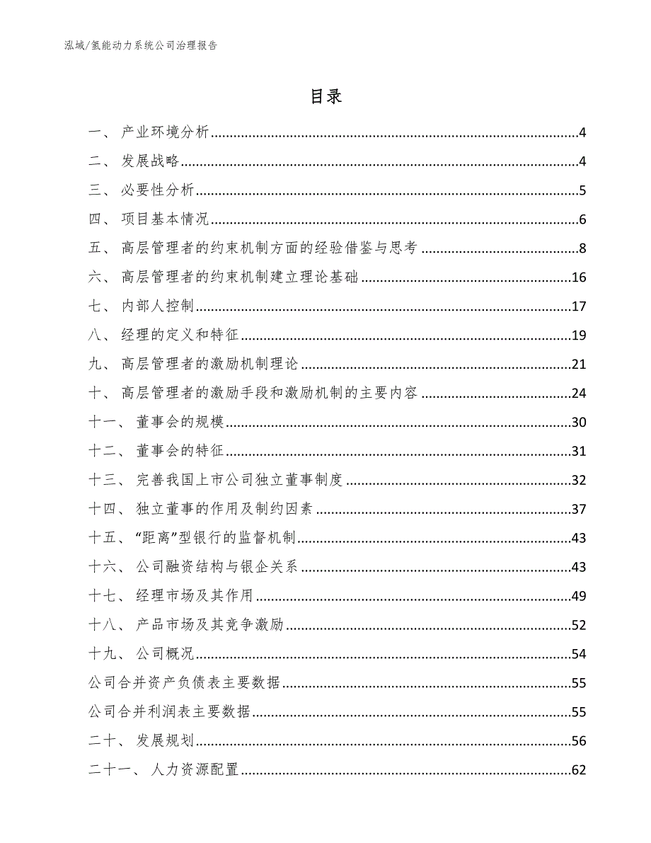 氢能动力系统公司治理报告_范文_第2页