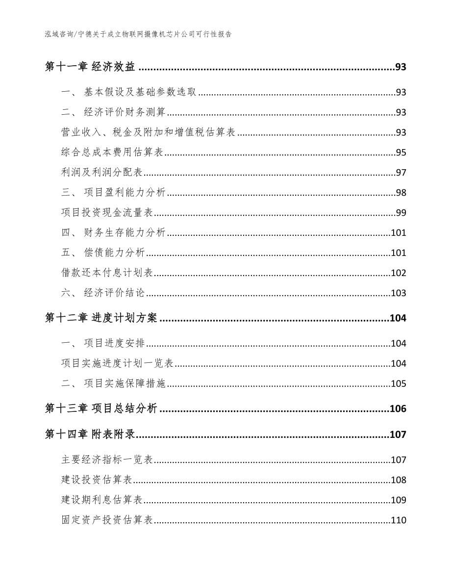 宁德关于成立物联网摄像机芯片公司可行性报告_第5页