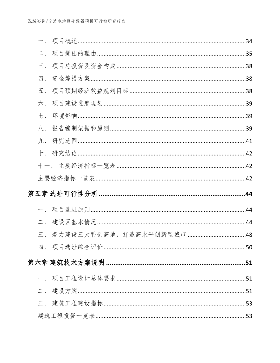 宁波电池级硫酸锰项目可行性研究报告_第2页