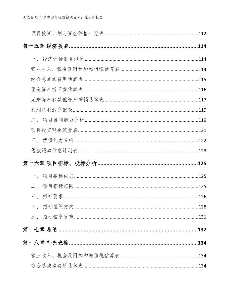 宁波电池级硫酸锰项目可行性研究报告_第5页