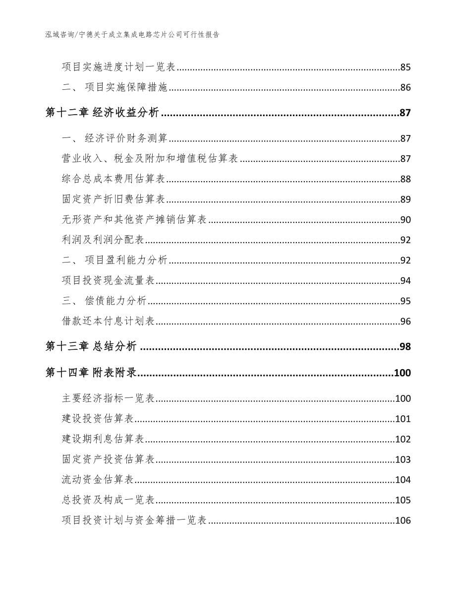 宁德关于成立集成电路芯片公司可行性报告（模板参考）_第5页