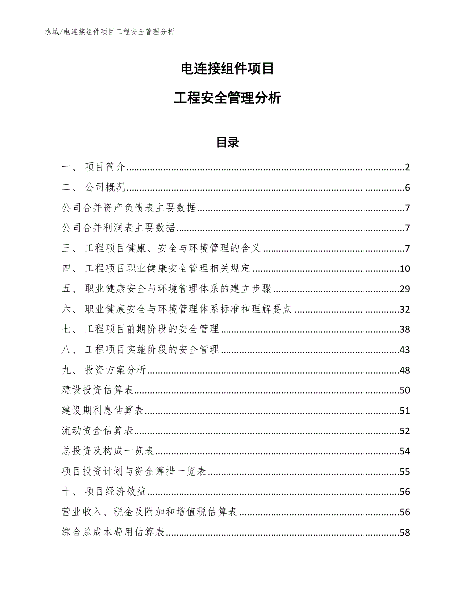 电连接组件项目工程安全管理分析_范文_第1页