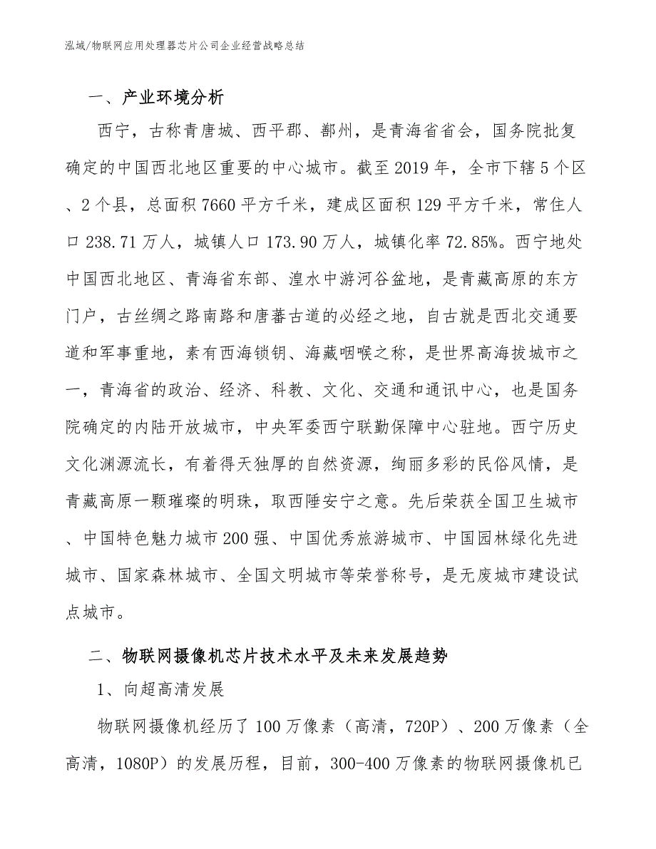 物联网应用处理器芯片公司企业经营战略总结_第3页