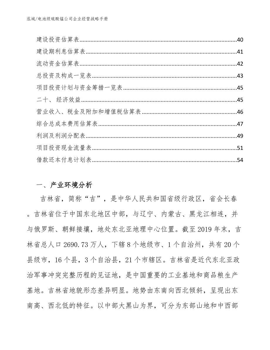 电池级硫酸锰公司企业经营战略手册（参考）_第2页